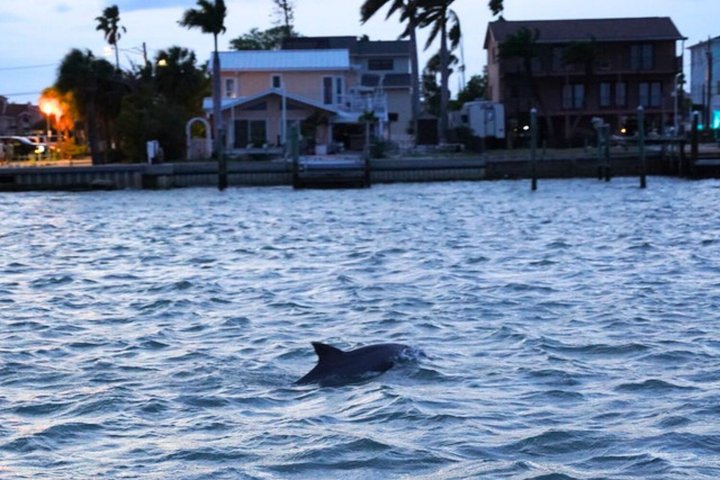 Evening Dining Yacht Cruise in Clearwater Beach