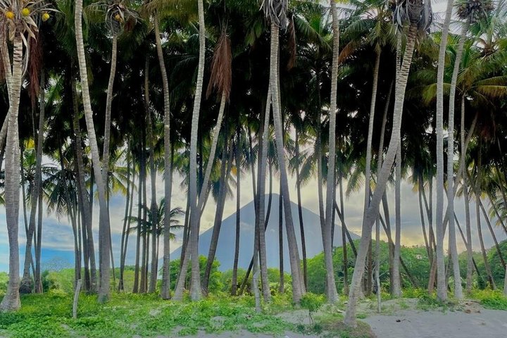 Ometepe Island Full-Day Tour