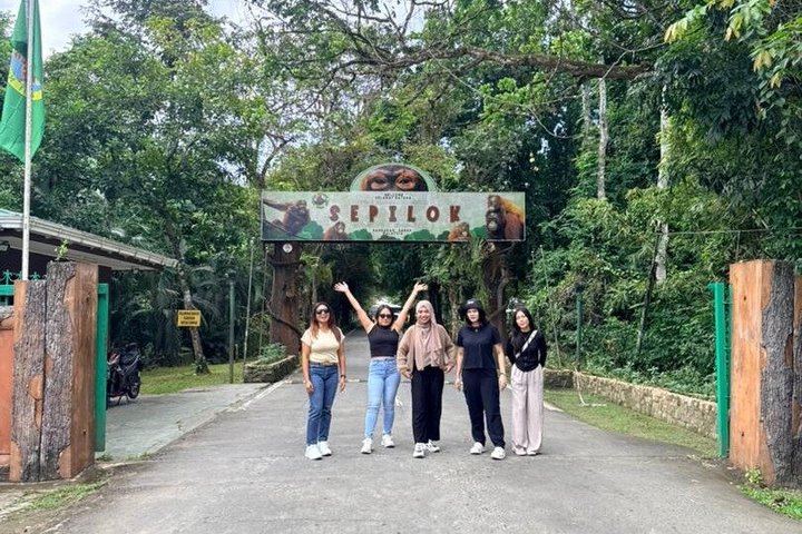 Full Day Sepilok Orangutan and Rainforest Discovery Centre Tour