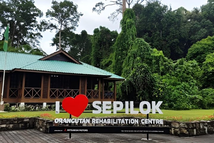 Full Day Sepilok Orangutan and Rainforest Discovery Centre Tour