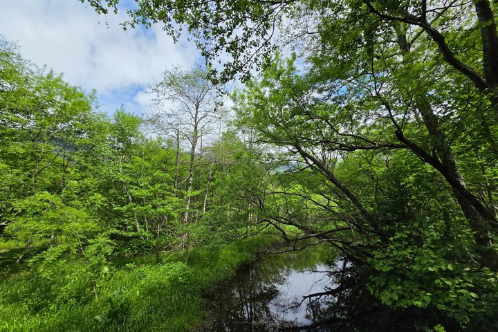 Nagano: Kamikochi Morning Nature Walk from Taisho Pond