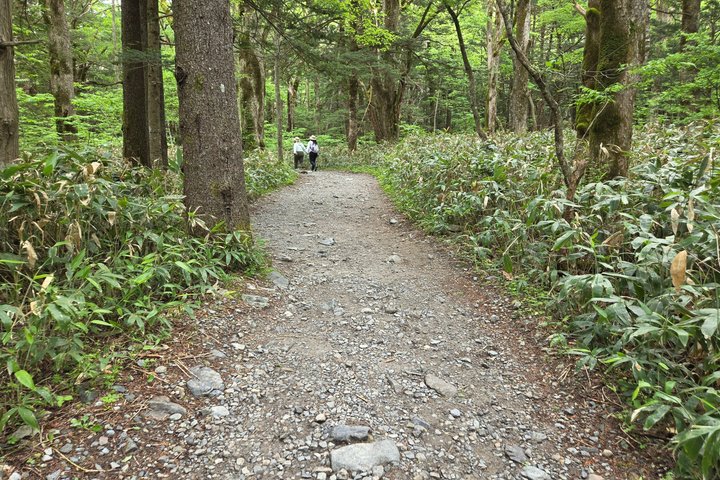 Nagano: Kamikochi Morning Nature Walk from Taisho Pond
