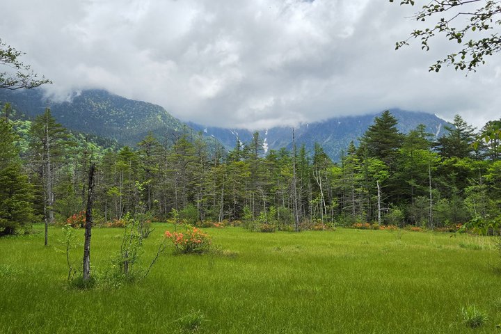 Nagano: Kamikochi Morning Nature Walk from Taisho Pond