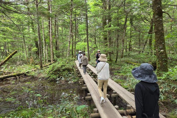 Nagano: Kamikochi Morning Nature Walk from Taisho Pond
