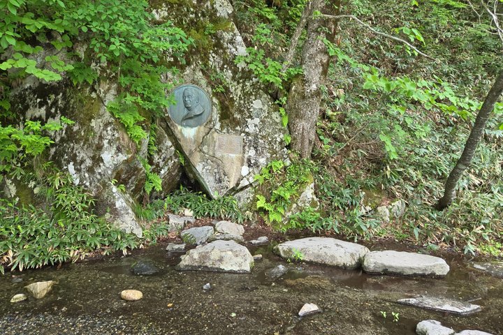 Nagano: Kamikochi Morning Nature Walk from Taisho Pond