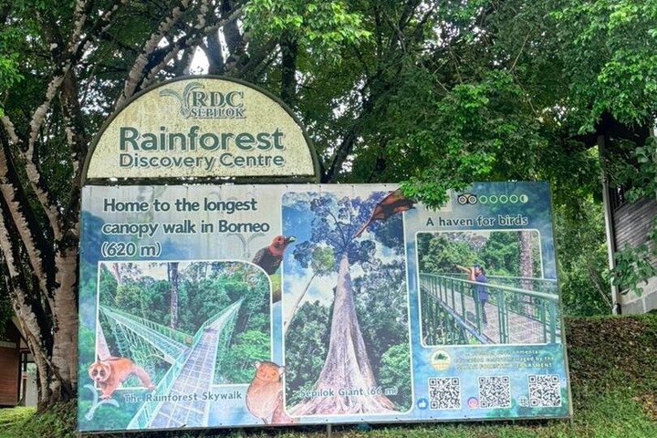 Full Day Sepilok Orangutan and Rainforest Discovery Centre Tour