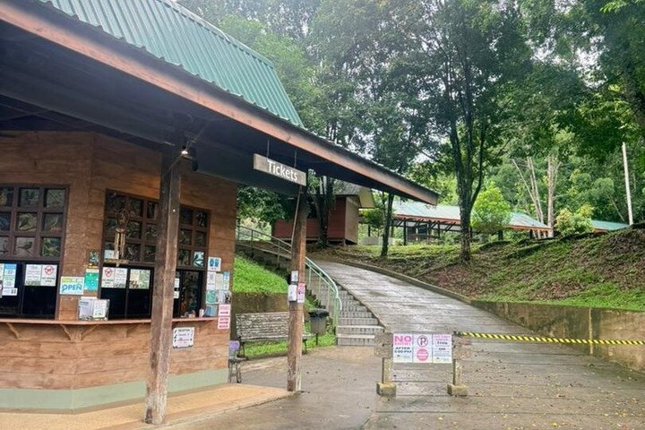Full Day Sepilok Orangutan and Rainforest Discovery Centre Tour