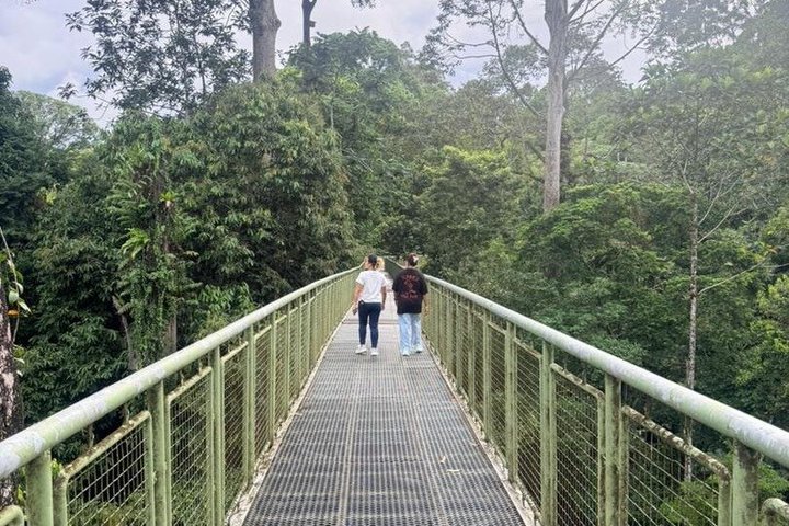 Full Day Sepilok Orangutan and Rainforest Discovery Centre Tour