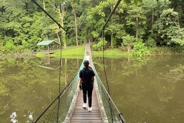 Full Day Sepilok Orangutan and Rainforest Discovery Centre Tour