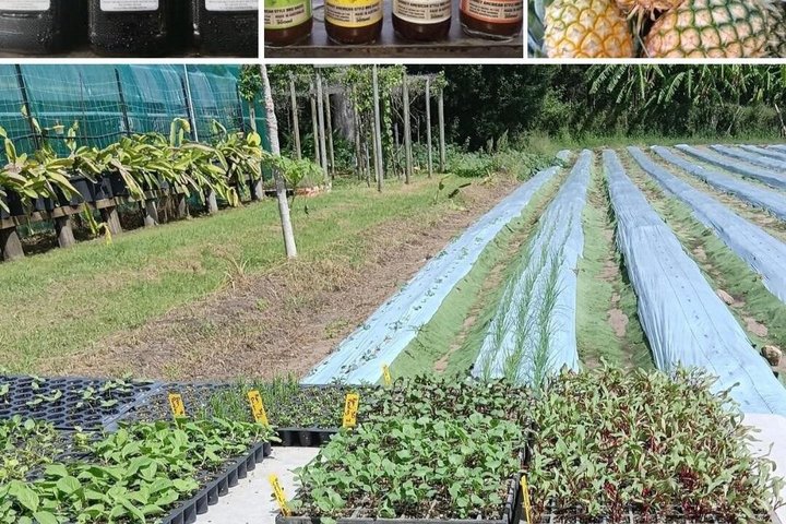 Wholefoods Farm and Market Tour 1770 Agnes