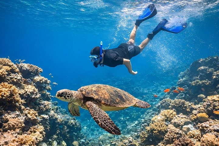 Sharm El Naga Full Day Snorkeling with Turtles & Lunch – Hurghada