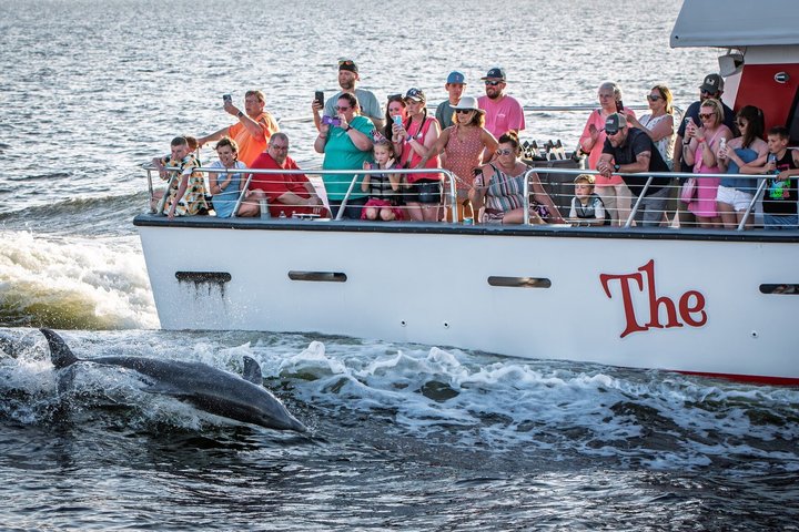 BIG FUN Dolphin Cruise & Sealife Experiece ORANGE BEACH ALABAMA