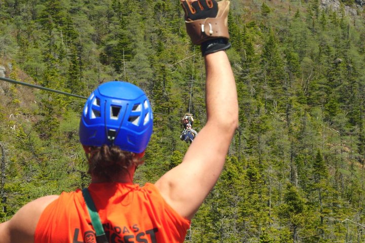 Zipline Adventure Tour Over the Coastline of Petty Harbour