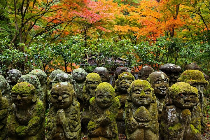 Kyoto Private Car Tour – Full Day | Hidden Gems & Nara Option