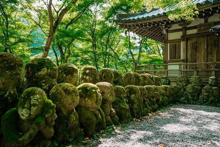 Kyoto Private Car Tour – Full Day | Hidden Gems & Nara Option