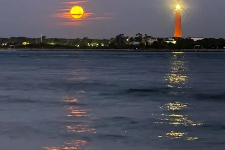 2-Hour Sunset Dolphin Tiki Boat Cruise
