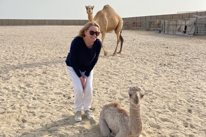 Manama : Day from South to North to Discover Bahrain