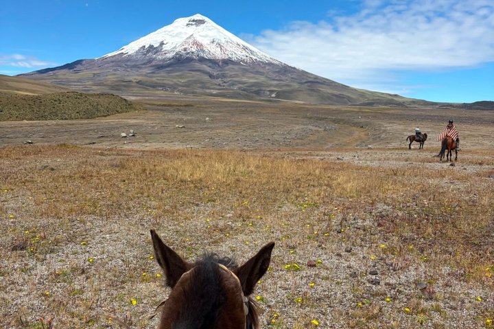 Cotopaxi tour from Quito -horseback ride and hike-NO TOURISTY way