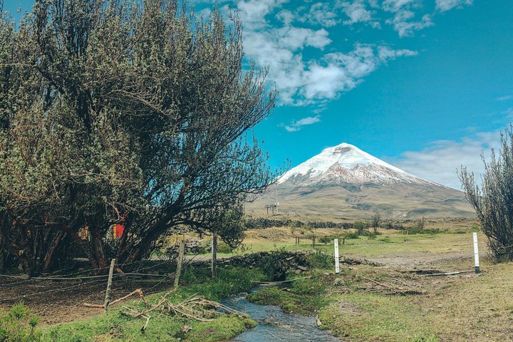Cotopaxi tour from Quito -horseback ride and hike-NO TOURISTY way
