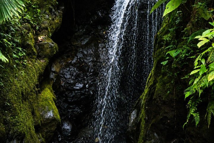 Arenal Volcano Canyoning and Waterfall Rappelling from La Fortuna