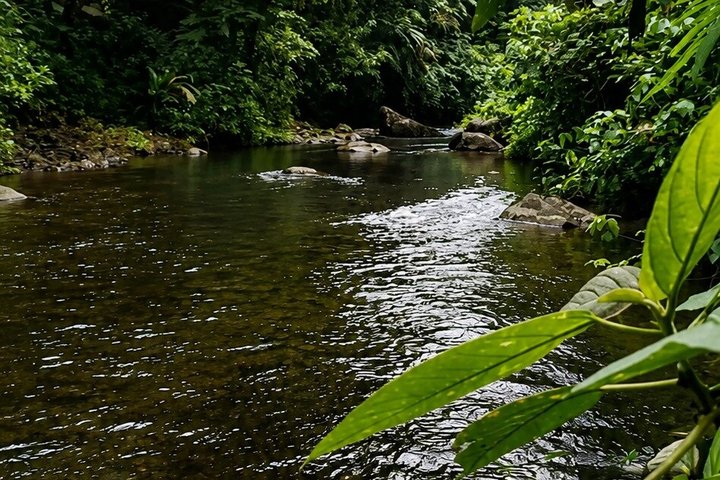 Arenal Volcano Canyoning and Waterfall Rappelling from La Fortuna