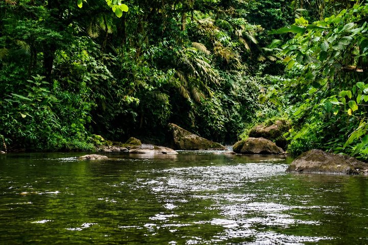Arenal Volcano Canyoning and Waterfall Rappelling from La Fortuna