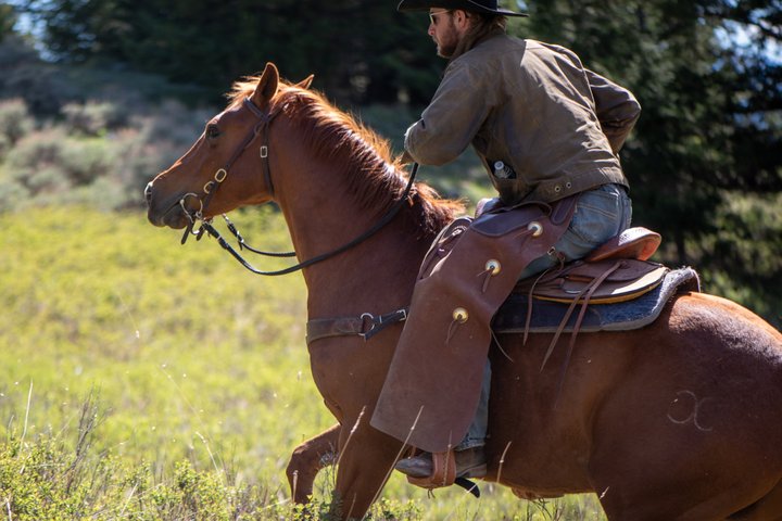 Blue Flower Trail Ride