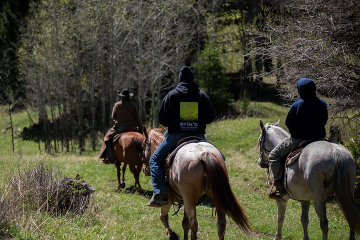 Blue Flower Trail Ride