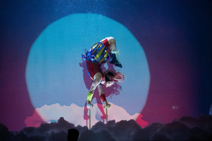 Cirque du Soleil LUDÕ — Vallarta