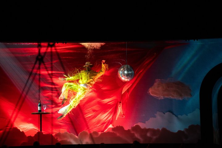 Cirque du Soleil LUDÕ — Vallarta
