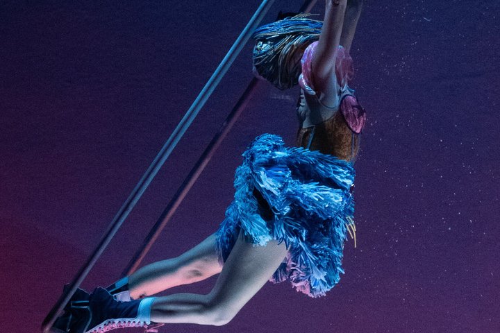 Cirque du Soleil LUDÕ — Vallarta