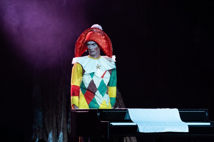 Cirque du Soleil LUDÕ — Vallarta