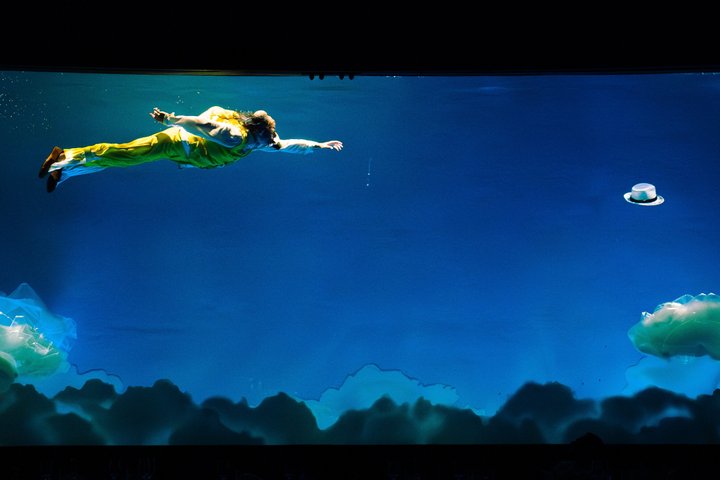 Cirque du Soleil LUDÕ — Vallarta