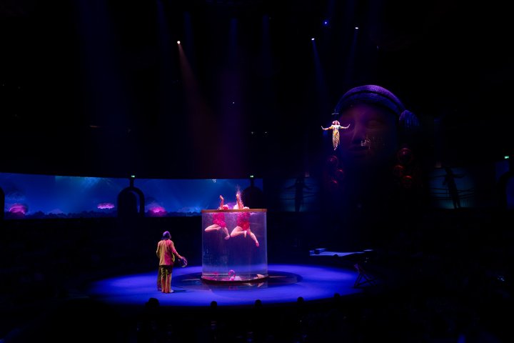 Cirque du Soleil LUDÕ — Vallarta