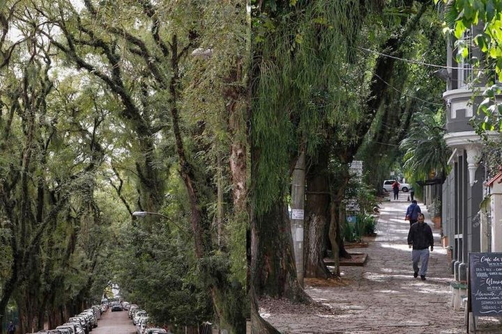 Porto Alegre : Private City Tour of the Highlights of the City