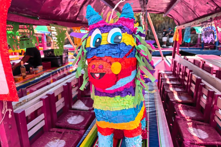 Mexico City Private Family Boat Tour Xochimilco UNESCO