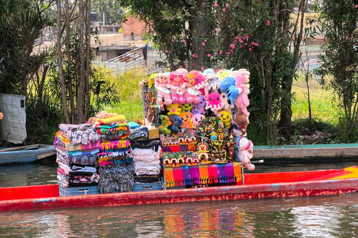 Mexico City Private Family Boat Tour Xochimilco UNESCO