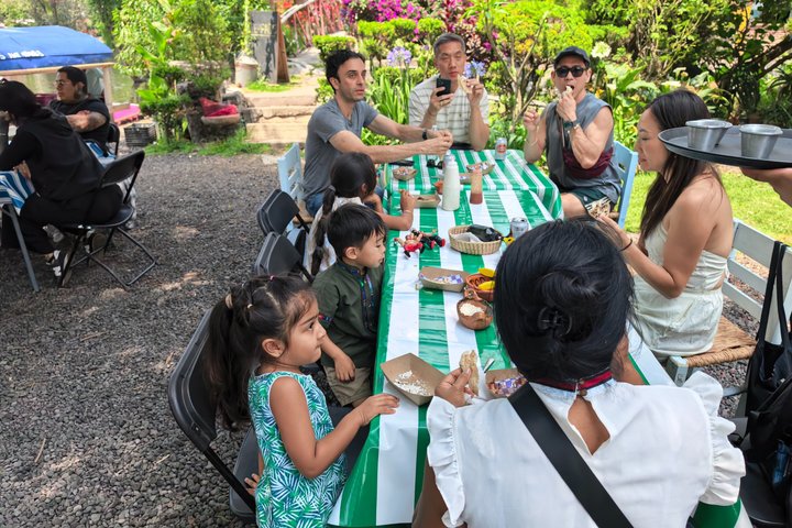 Mexico City Private Family Boat Tour Xochimilco UNESCO