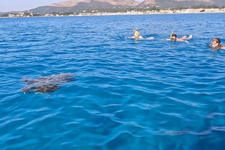 Zakynthos Turtle Tour Small Group Turtle Spotting & Turtle Island