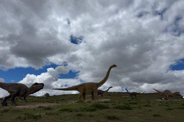 4D3N Huitengxile Grassland Wulanhada volcano Kubuqi Desert Tours