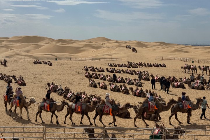 4D3N Huitengxile Grassland Wulanhada volcano Kubuqi Desert Tours