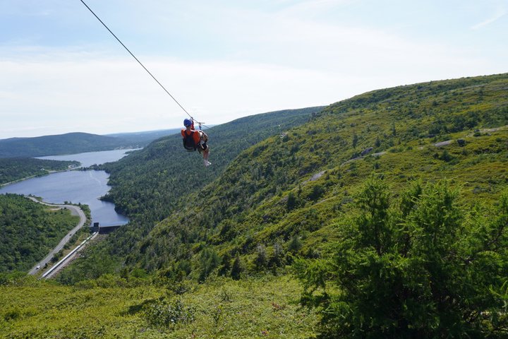 Zipline Adventure Tour Over the Coastline of Petty Harbour