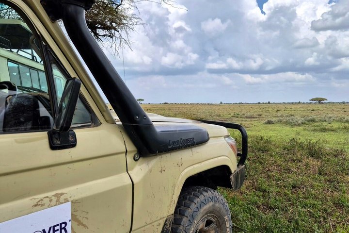 2-Day Zanzibar to Mikumi Safari by SGR Train