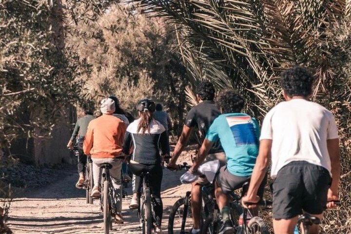 Private half-day mountain bike tour discover Palmeraie Skoura