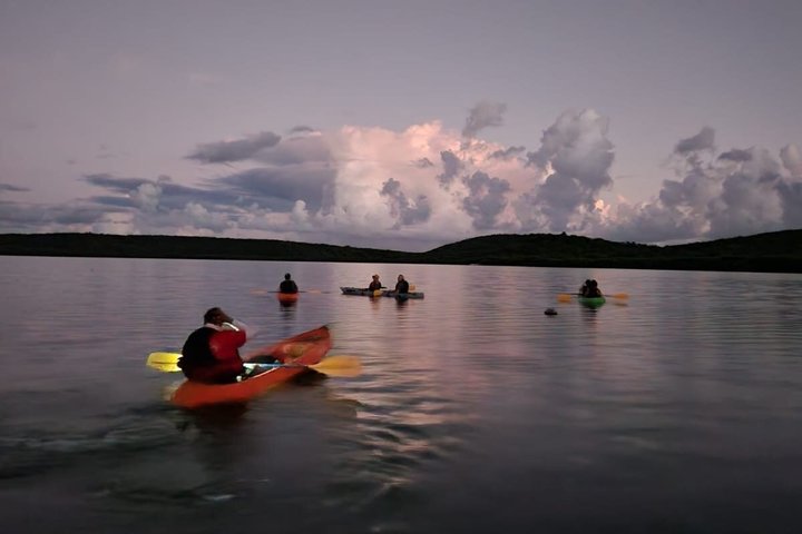 Dindin’s Biobay Tours-CLEAR BOTTOM KAYAKS Tour in Mosquito Bay