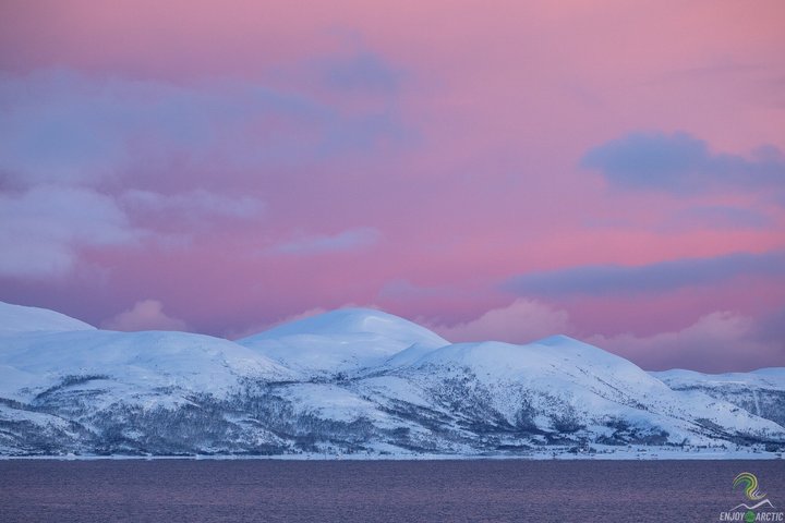 Small-Group Norwegian Fjords Tour from Tromso with Photos
