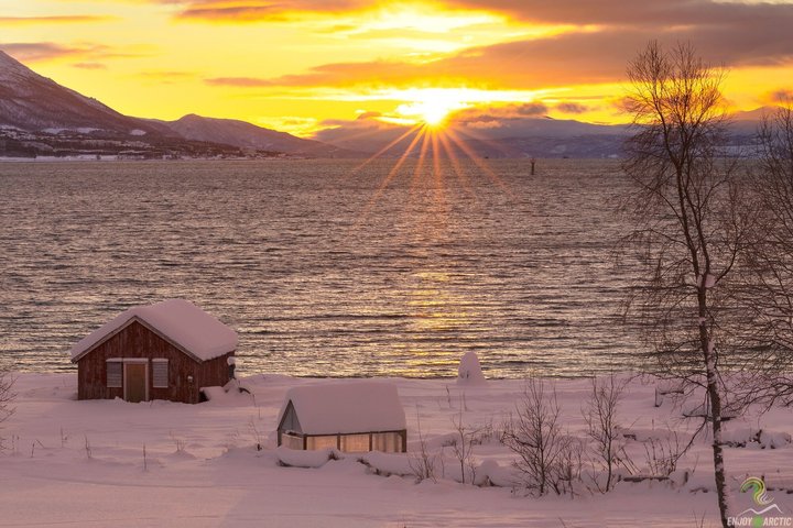 Small-Group Norwegian Fjords Tour from Tromso with Photos