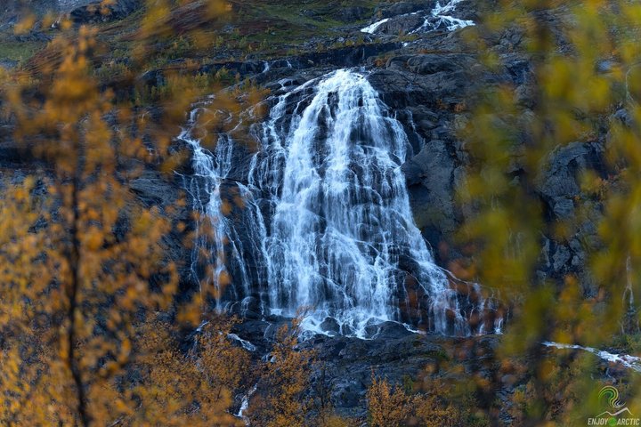 Small-Group Norwegian Fjords Tour from Tromso with Photos