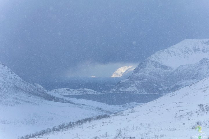 Small-Group Norwegian Fjords Tour from Tromso with Photos