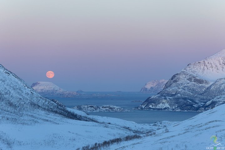 Small-Group Norwegian Fjords Tour from Tromso with Photos